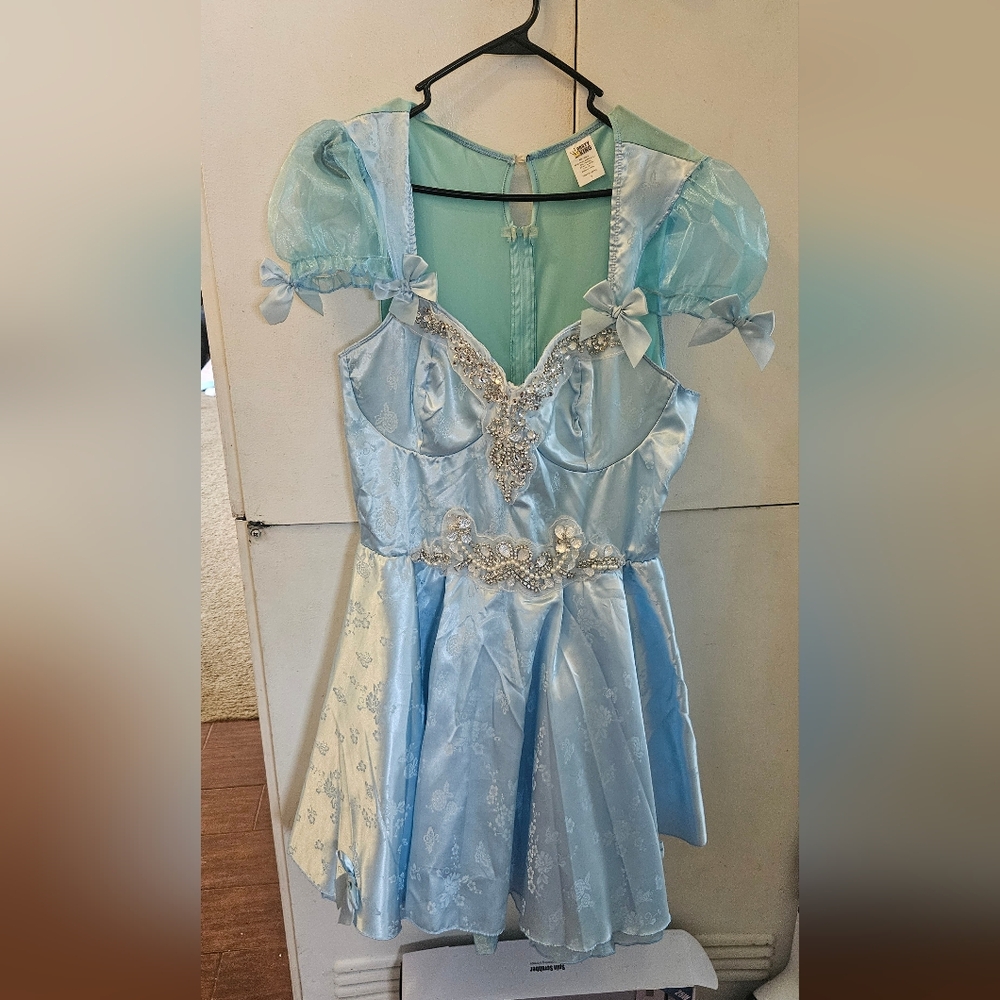 Party King Cinderella Dress 2x